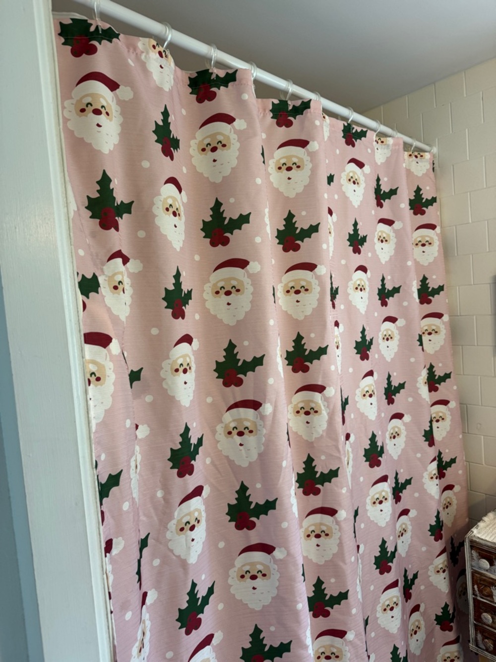 Santa Shower Curtain